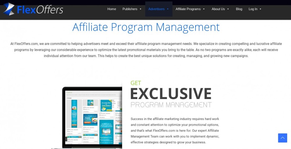 Affiliate marketing websites