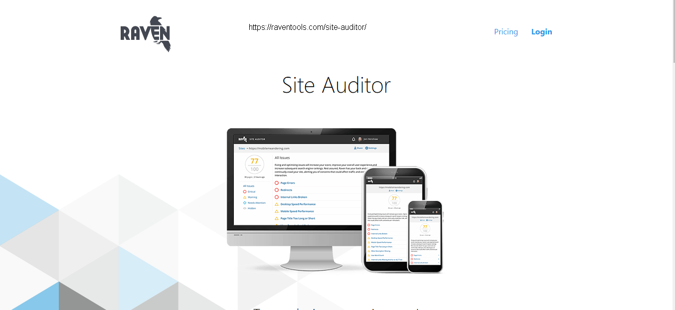 Basicsofseoaudit_2_raventools