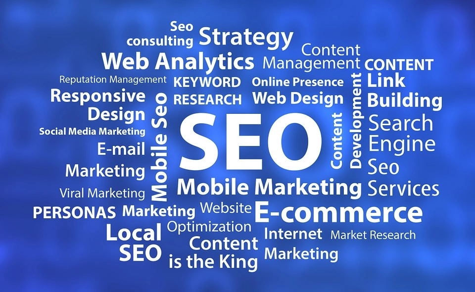 Seo areas for seo expert