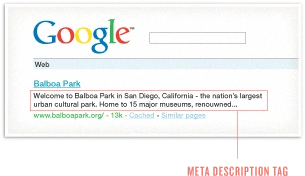 Seo friendly website