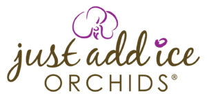 Justaddiceorchids