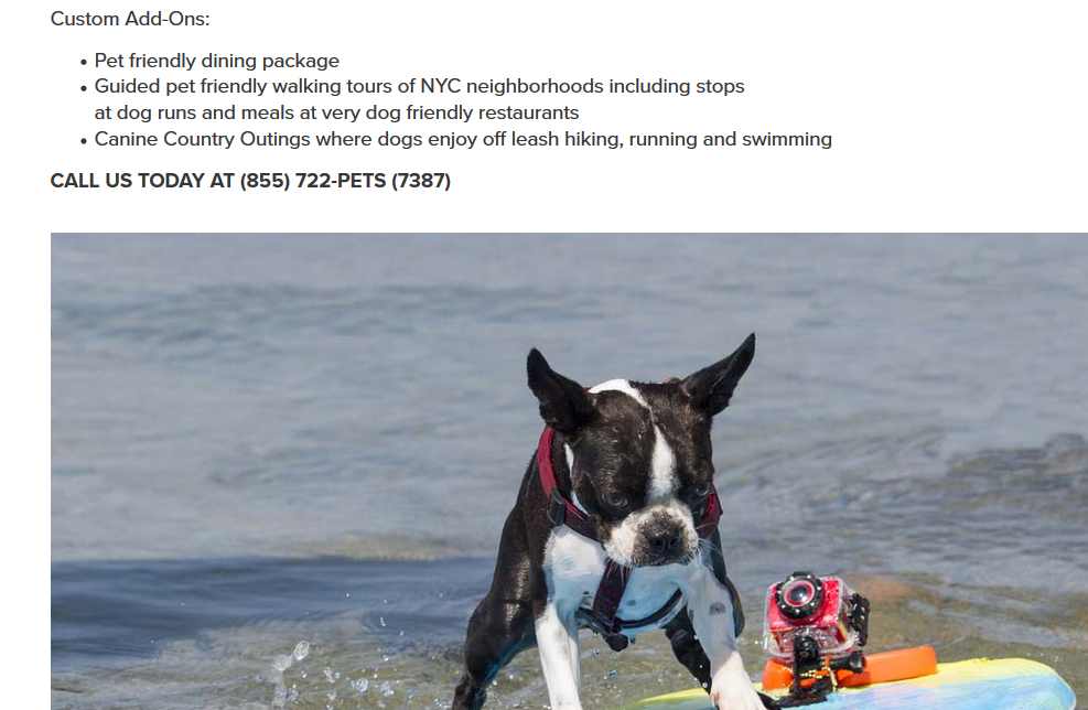 Mobile marketing for travel -package specific custom add-ons by topdogpettravels