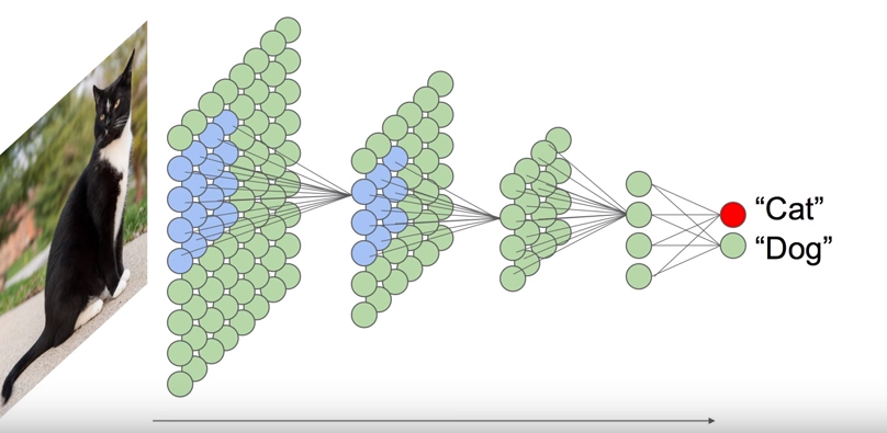 Classify pictures cat dog example ann