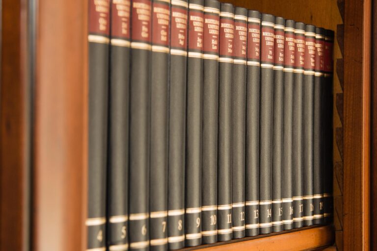 What is a Python Dictionary and How Does it Work?