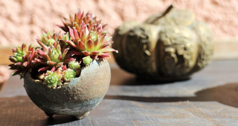 Interview with Mohit Bansal, Principal Data Scientist, CreditVidya