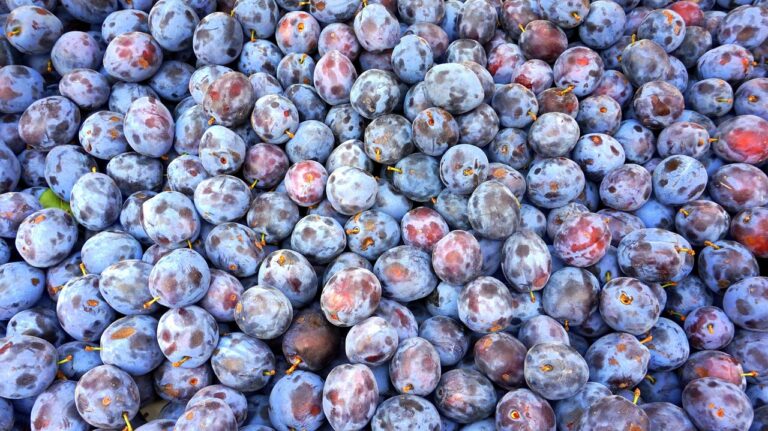 11 Powerful Hacks to Boost your Organic Click Through Rates (CTR)