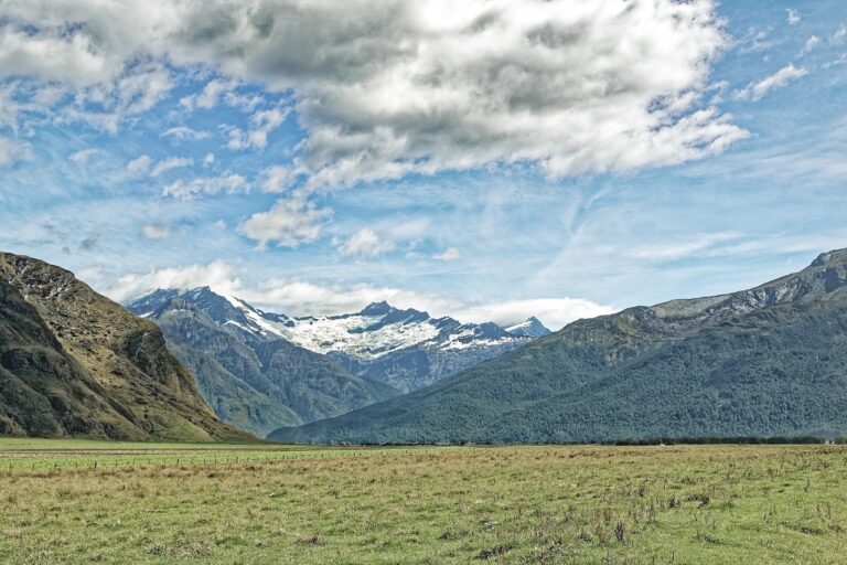 Interview with Himani Chopra, an aspiring Digital Marketer