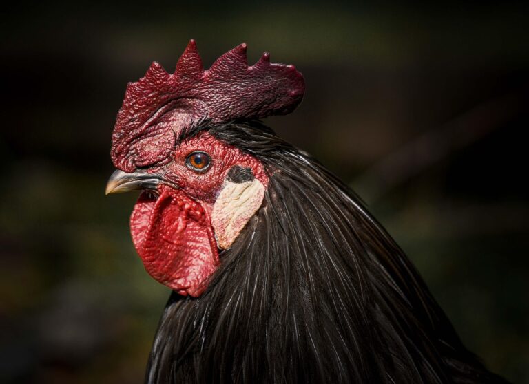 An Interview With – Apurva Chamaria, Head Of Global Brand & Digital Marketing, HCL Tech