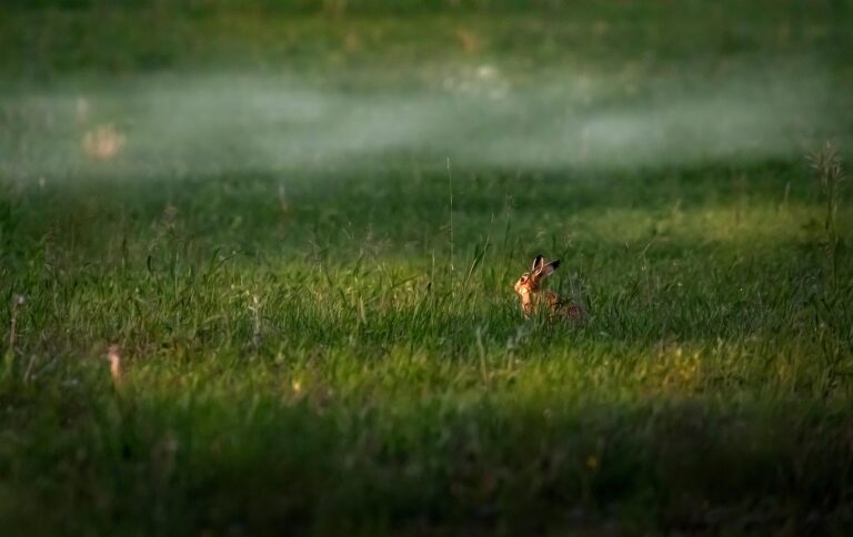 40 Top Digital Marketing Agencies in India in 2025