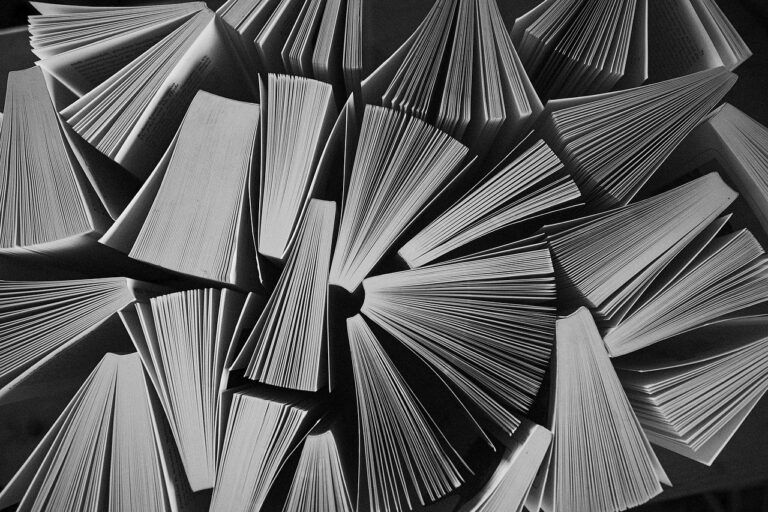 Digital Marketing Case Study On Limeroad: A Vision With Innovation