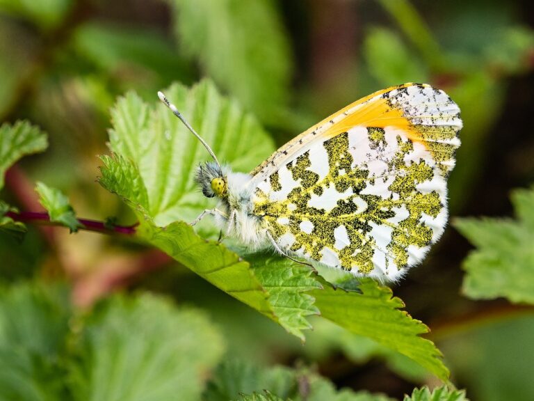 10 Tips to get High Paying Blogging Jobs