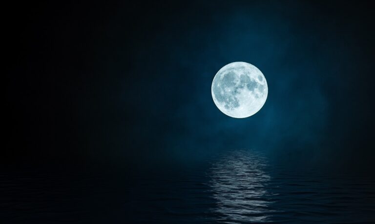 The Centre Leveraged Email Marketing To Achieve 555% ROI In 4 Months