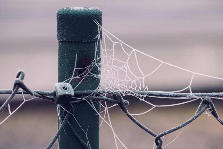 Case Study On The Huffington Post