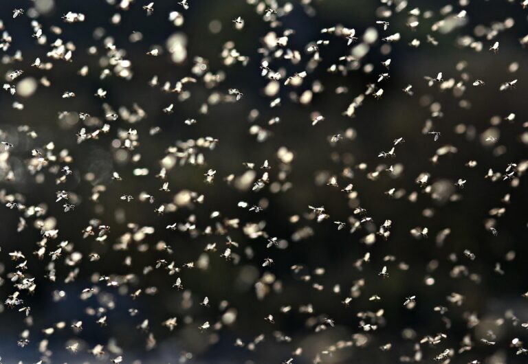 Gardenvisit.com Generated 85% Of ROI Through Google Adsense