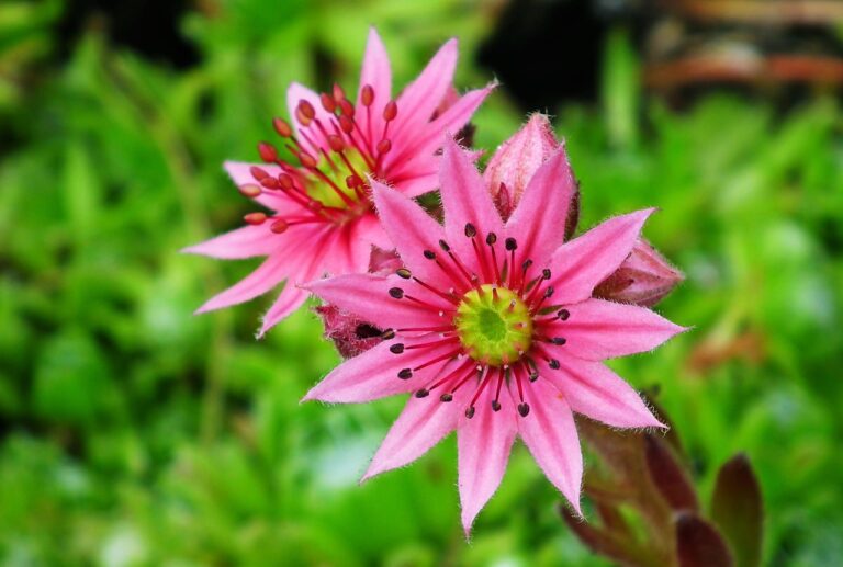 Tableau Tutorial For Beginners With Example