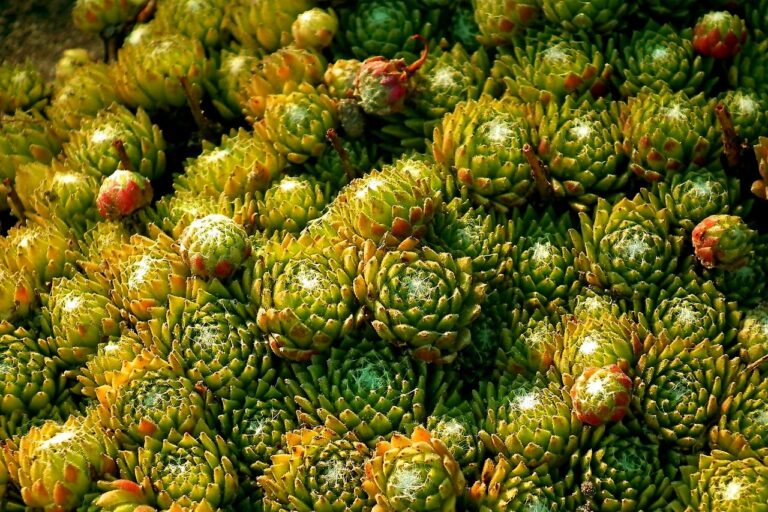 Top 11 Marketing Case Study Examples for Startups