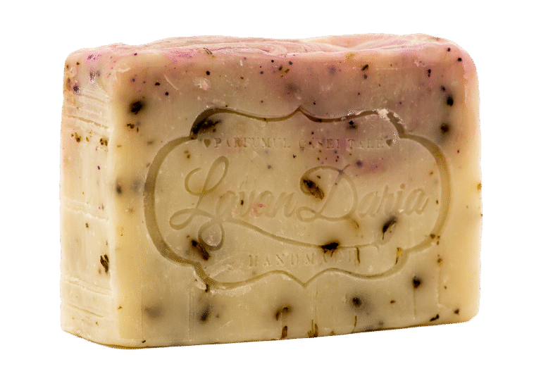 Digital Vidya’s Reputation Made To Opt For Internship Programme With Pioneers