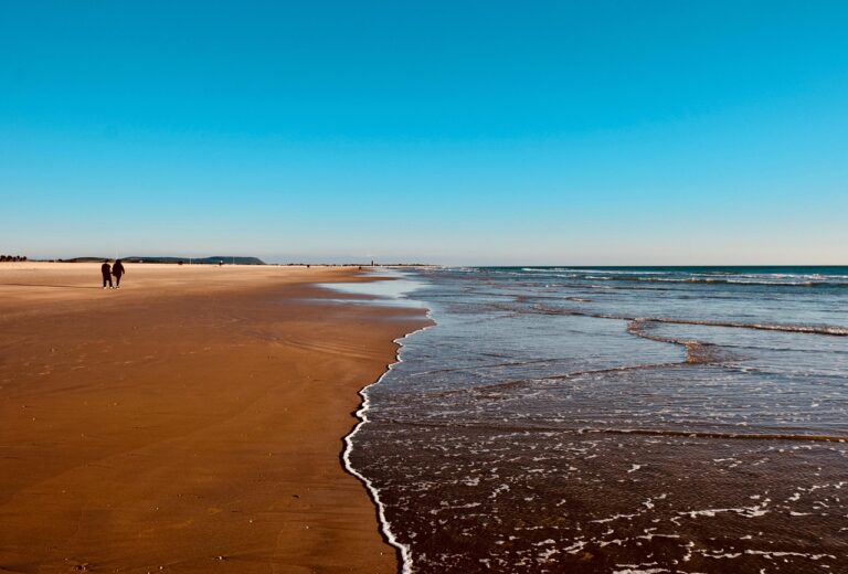 Webinar Recording Of Three Critical C’s for Online-to-Offline (O2O) Customer Acquisition