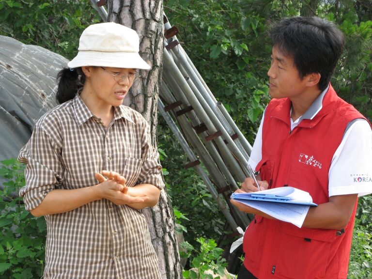 Why Is CDMM Certification Best To Learn Digital Marketing?