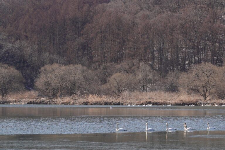 TripAdvisor’s Digital Marketing Journey To Reach 375M Unique Monthly Visitors