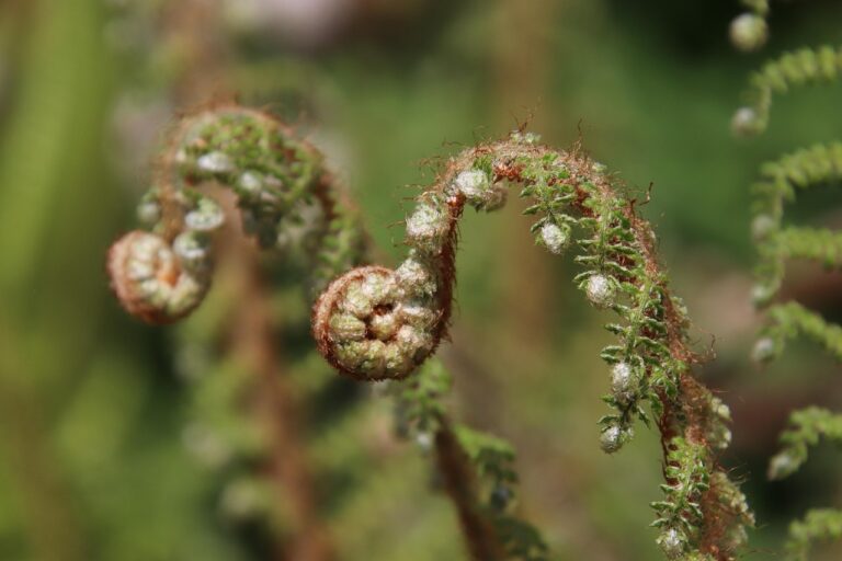 How to Become an Email Marketing Consultant: Beginner’s Guide