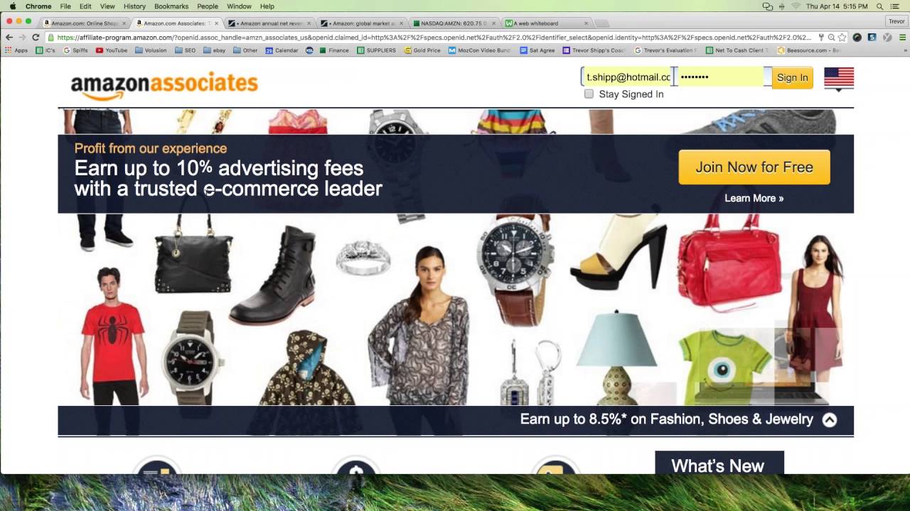 Affiliate marketing websites