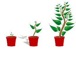 Decision tree learning