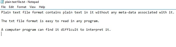 Txt file format